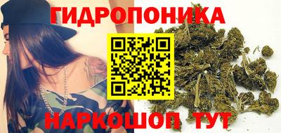Альфа ПВП Азнакаево