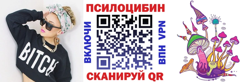 Псилоцибиновые грибы прущие грибы  купить  сайты  Абакан 