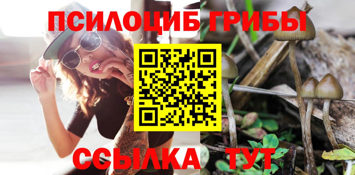 Галлюциногенные грибы мухоморы Абакан